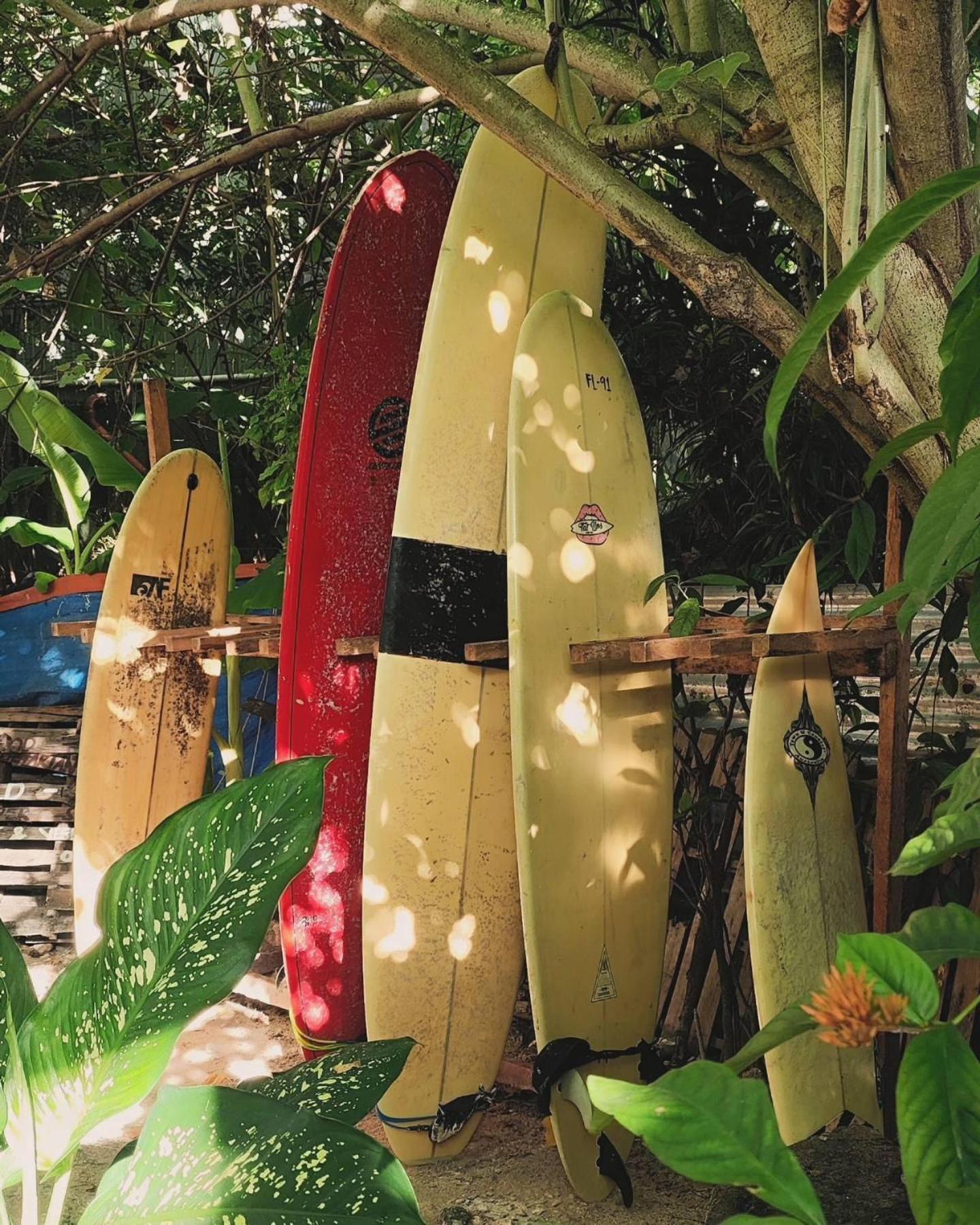הוסטל ג'נרל לונה Wave Retreat מראה חיצוני תמונה